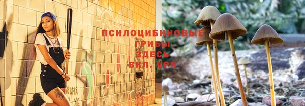 ALPHA-PVP Чердынь