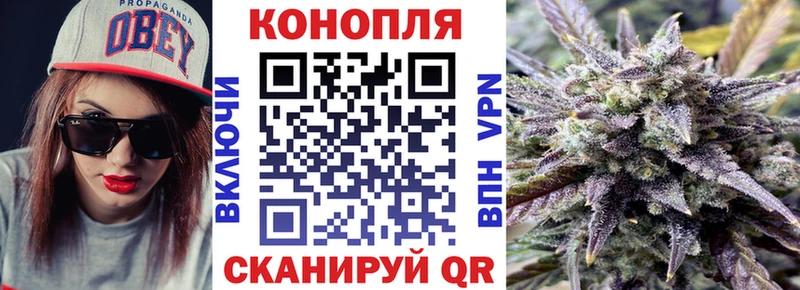 Купить закладки  Алейск  Конопля тримм 